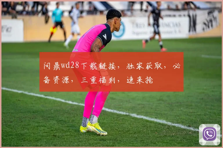 问鼎wd28下载链接，独家获取，必备资源，三重福利，速来抢