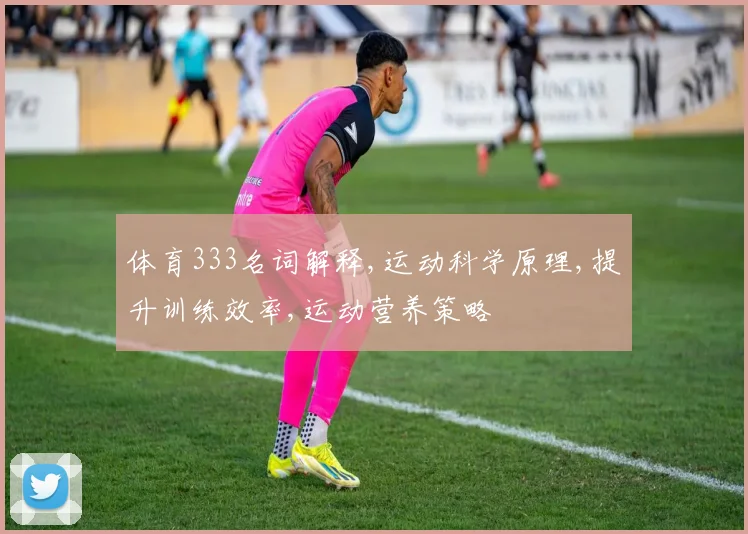 体育333名词解释,运动科学原理,提升训练效率,运动营养策略