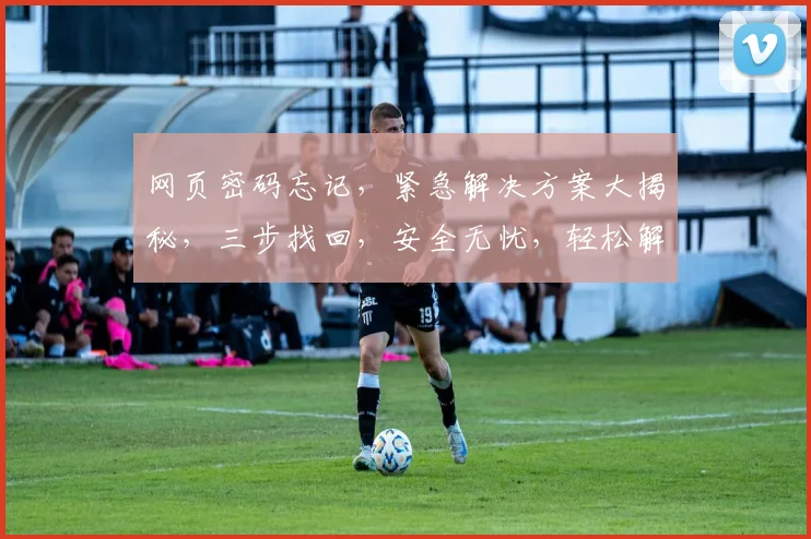 网页密码忘记，紧急解决方案大揭秘，三步找回，安全无忧，轻松解决