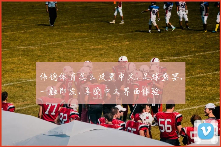 伟德体育怎么设置中文,足球盛宴,一触即发,享受中文界面体验