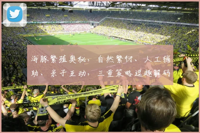 海豚繁殖奥秘，自然繁衍、人工辅助、亲子互动，三重策略逗趣解码