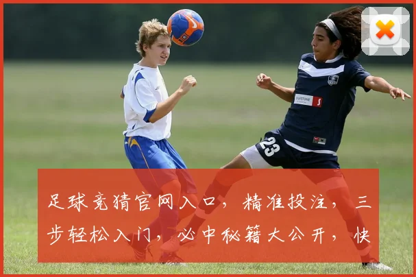 足球竞猜官网入口，精准投注，三步轻松入门，必中秘籍大公开，快来体验